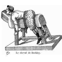 berkley_horse