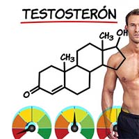 Sexuálna túžba je ovplyvnená aj testosterónom